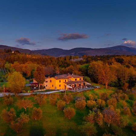 Tenuta Risalpiano Villa Pelago Eksteriør billede